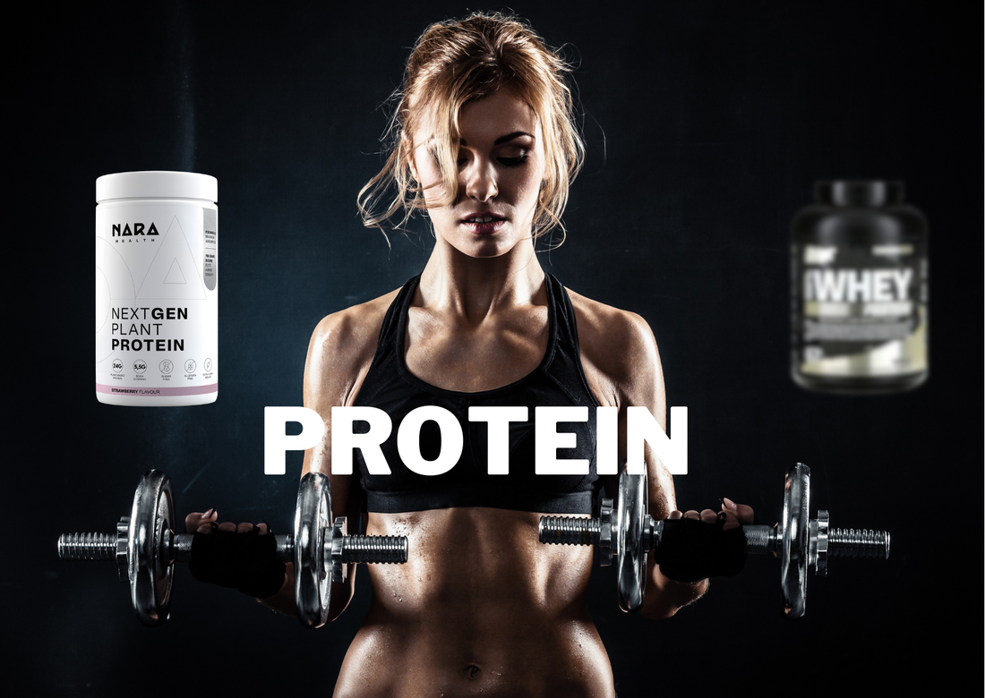 Plant Protein vs. Whey Protein: Which Deserves Your Attention in 2026?