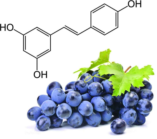 What is resveratrol and when to take it?