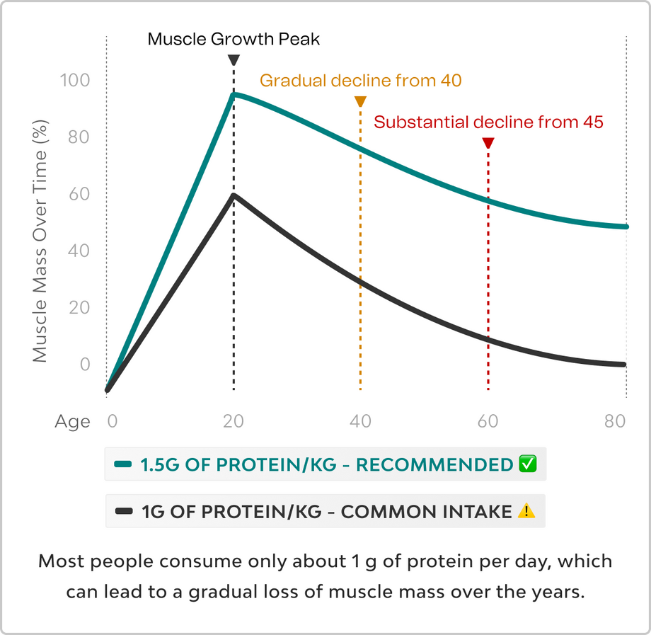 NEXTGEN PLANT PROTEIN