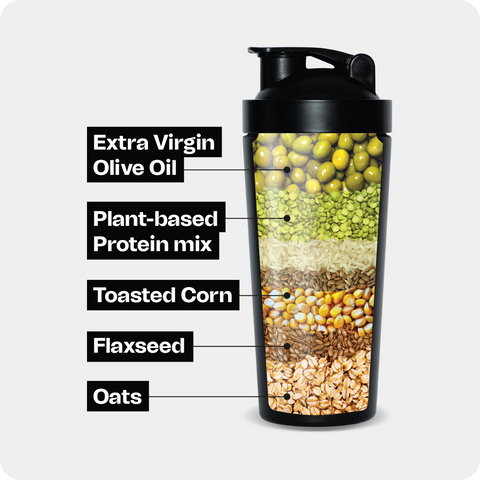 MATCHA Coconut complete meal shake