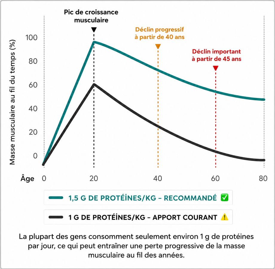 PROTÉINE VÉGÉTALE NEXTGEN